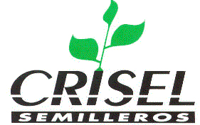 Logotipo Crisel Semilleros