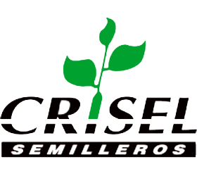 Crisel semilleros logo